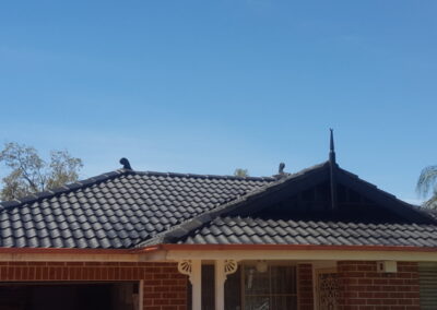 roof painters Sydney